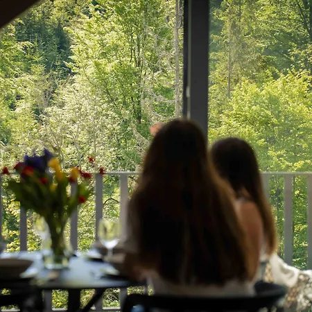 Solisko Z Widokiem Na Trase Narciarska - Dream