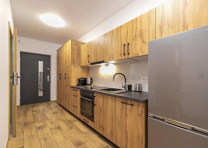 Solisko Z Widokiem Na Trase Narciarska - Dream