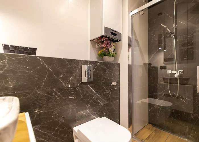 Solisko Z Widokiem Na Trase Narciarska - Dream