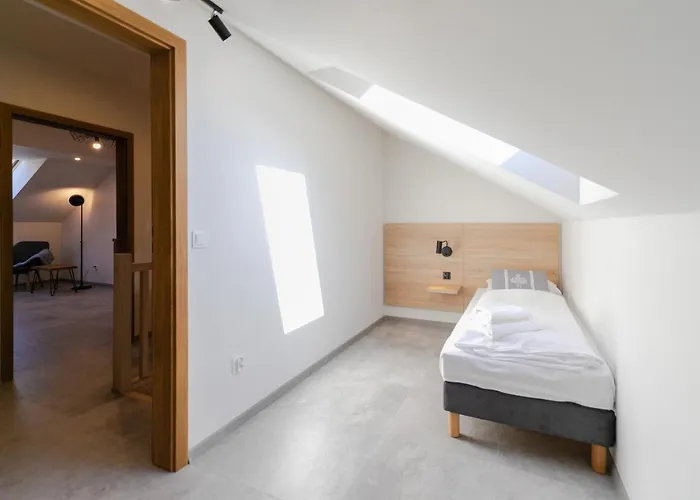 Solisko Z Widokiem Na Trase Narciarska - Dream