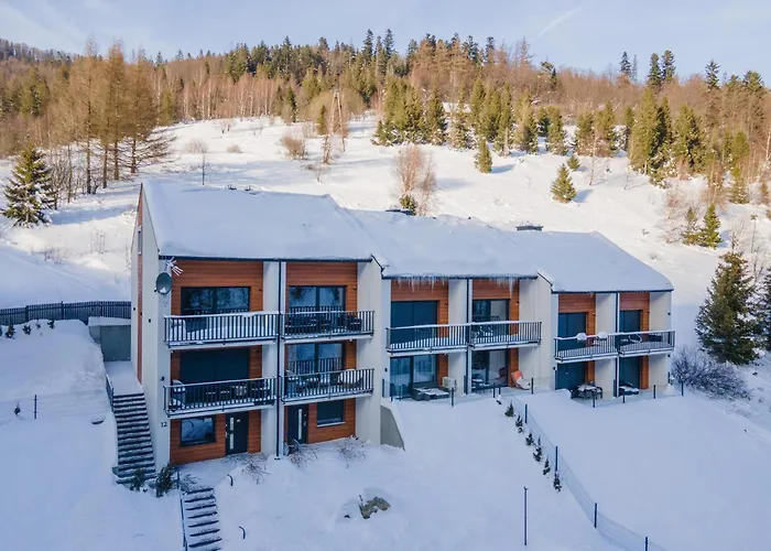 Solisko Z Widokiem Na Trase Narciarska - Dream