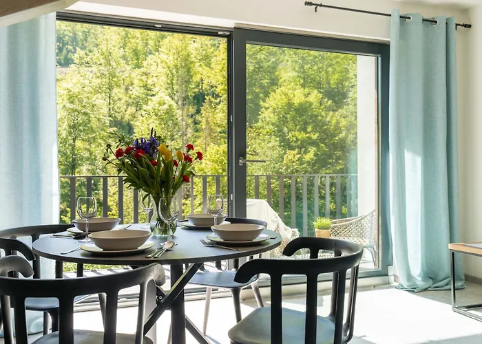 Solisko Z Widokiem Na Trase Narciarska - Dream