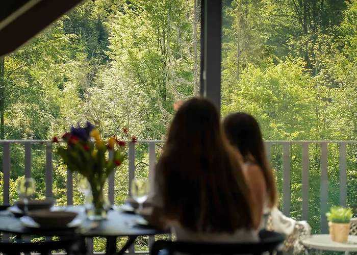 Solisko Z Widokiem Na Trase Narciarska - Dream